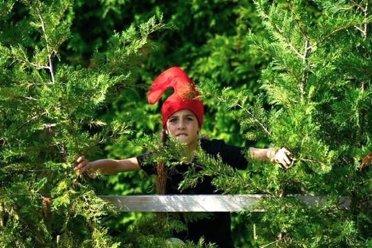 Bild Ein Tanzspaziergang für alle in Utzigen