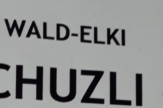 20230919_130536.jpg