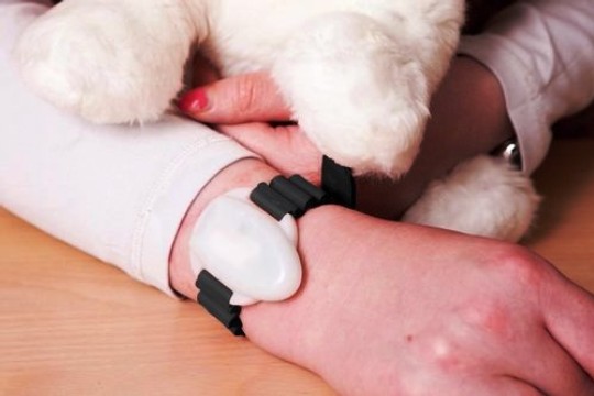 danishcareepicarefree3Hand.jpg