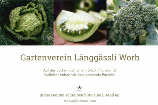 Postkarte (2).jpg