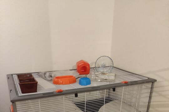 IMG_20250702_214140.jpg