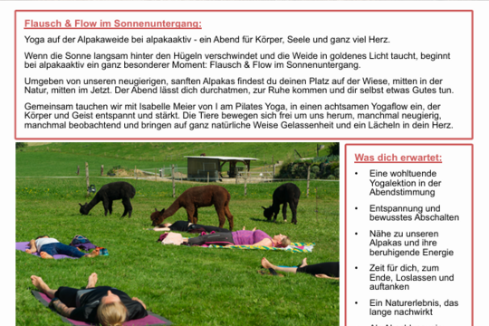 aa_aktivität_ff_Yoga.png