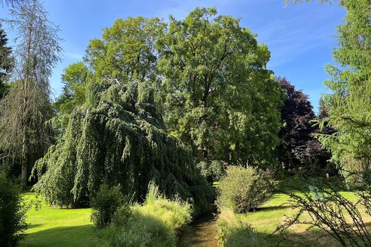 Park-Hünigen-1.jpg