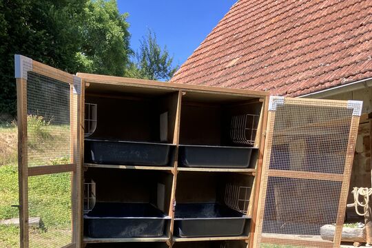 IMG_3057.jpeg