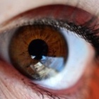 Profil Bild