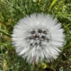 Profil Bild